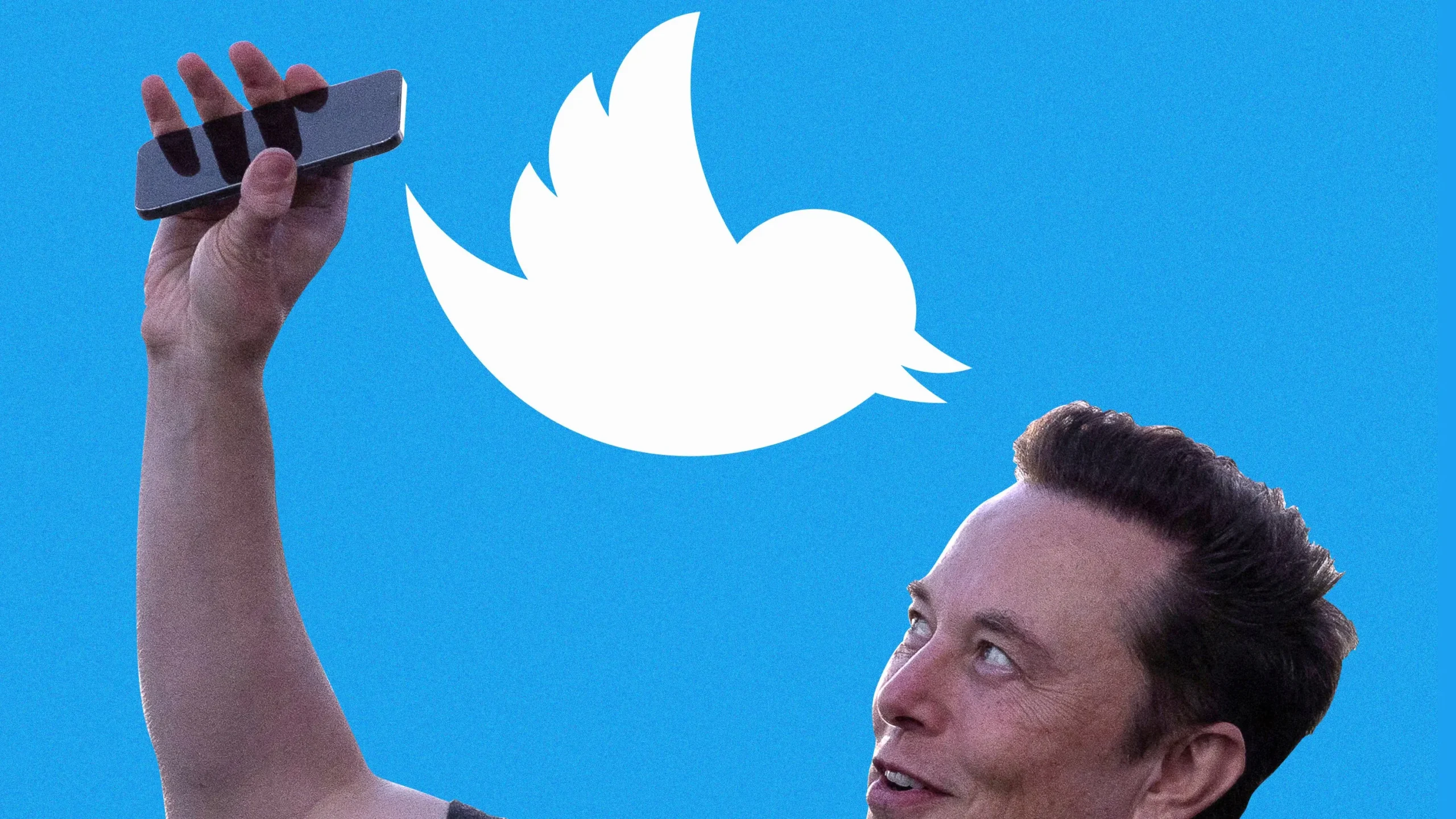 Elon Musk's Latest Twitter Plan Faces Major Criticism