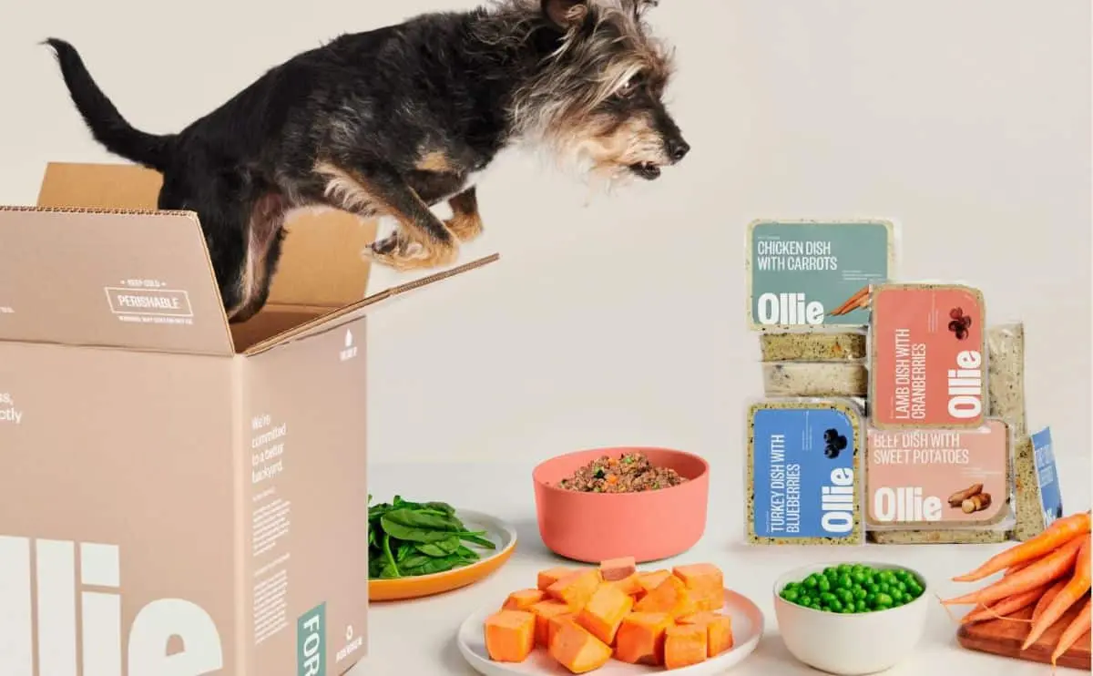 Ollie Dog Food Tailor-Made Meals for Your Pet
