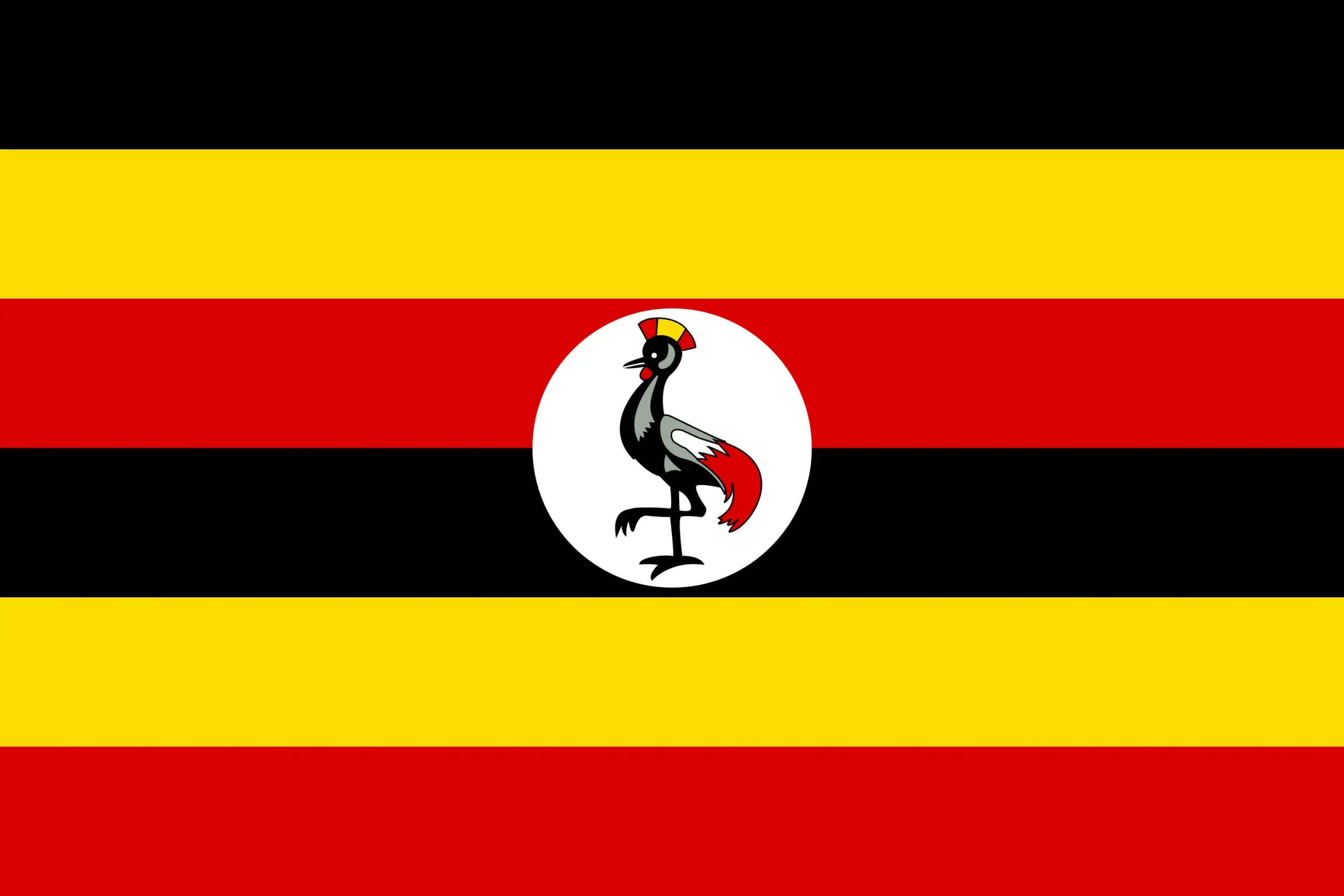 Uganda's Anti-LGBTQ Bill: A Violation of Human Rights