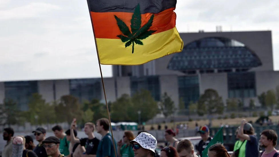 German Cannabis Clubs and the Future of Drug Reforms